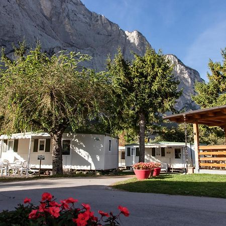 Camping Daino Hotell Pietramurata Exteriör bild